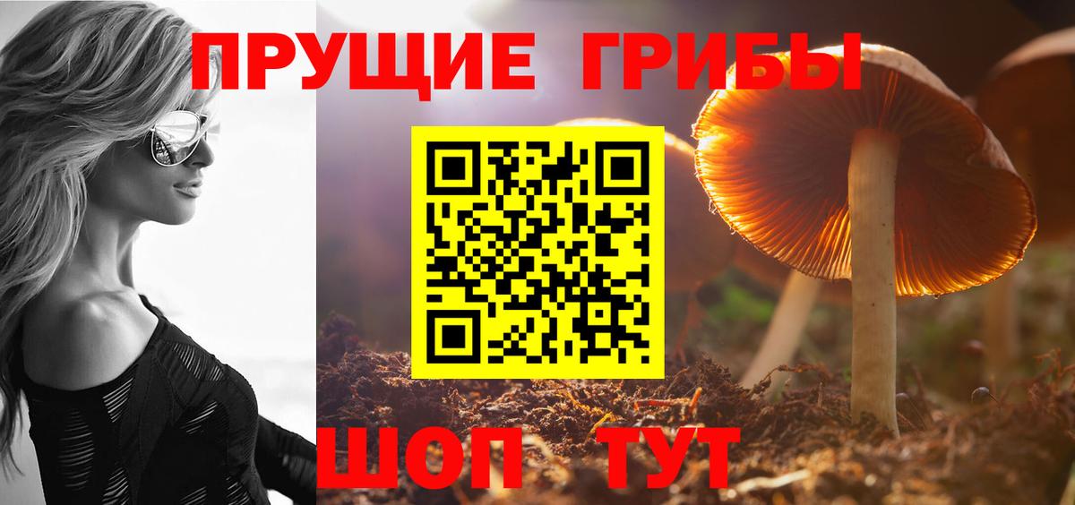 Галлюциногенные грибы GOLDEN TEACHER  Псилоцибиновые грибы Psilocybine cubensis  Вход с VPN  Приморско-Ахтарск 